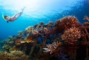 Ubud: Tegenungan Waterfall, Snorkeling, and Canyoning Tour