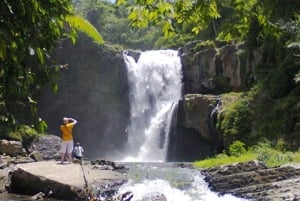 Ubud: Tegenungan Waterfall, Snorkeling, and Canyoning Tour