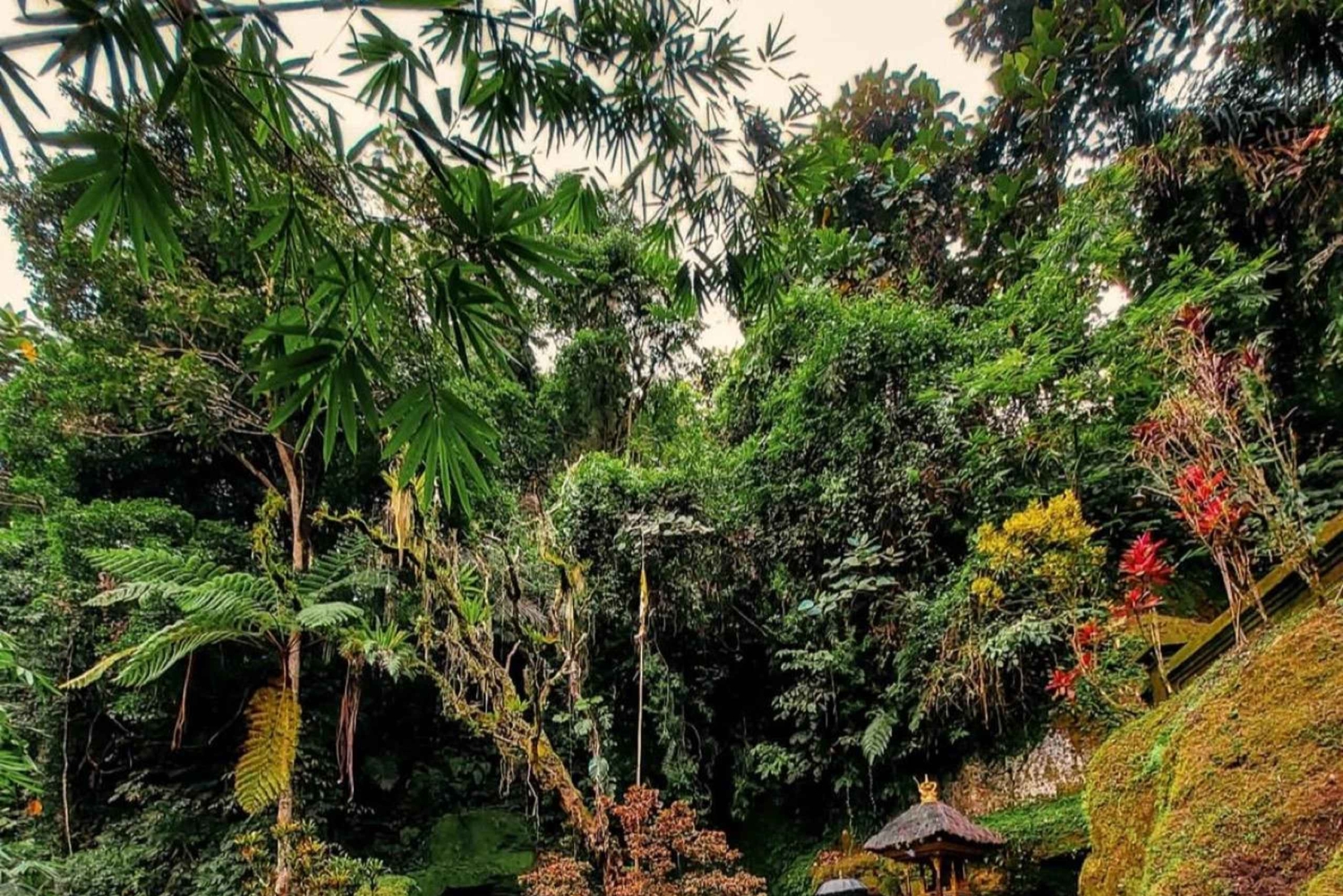 Ubud: Telaga Waja Temple, Waterfalls- Mancingan Rice Terrace