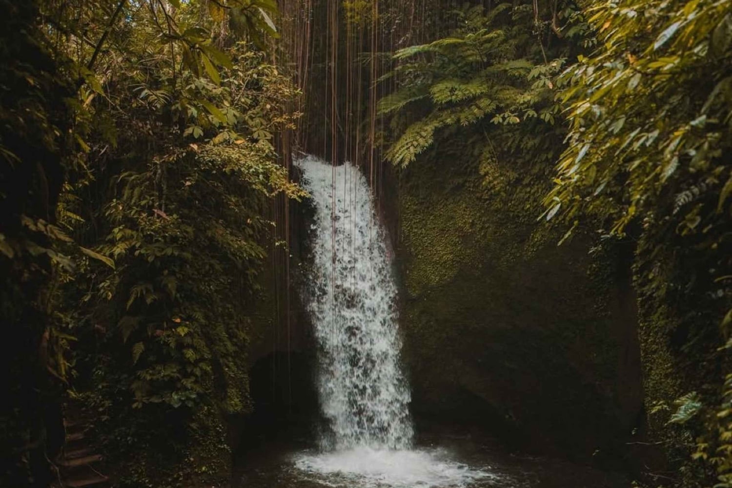 Ubud: Telaga Waja Temple, Waterfalls- Mancingan Rice Terrace