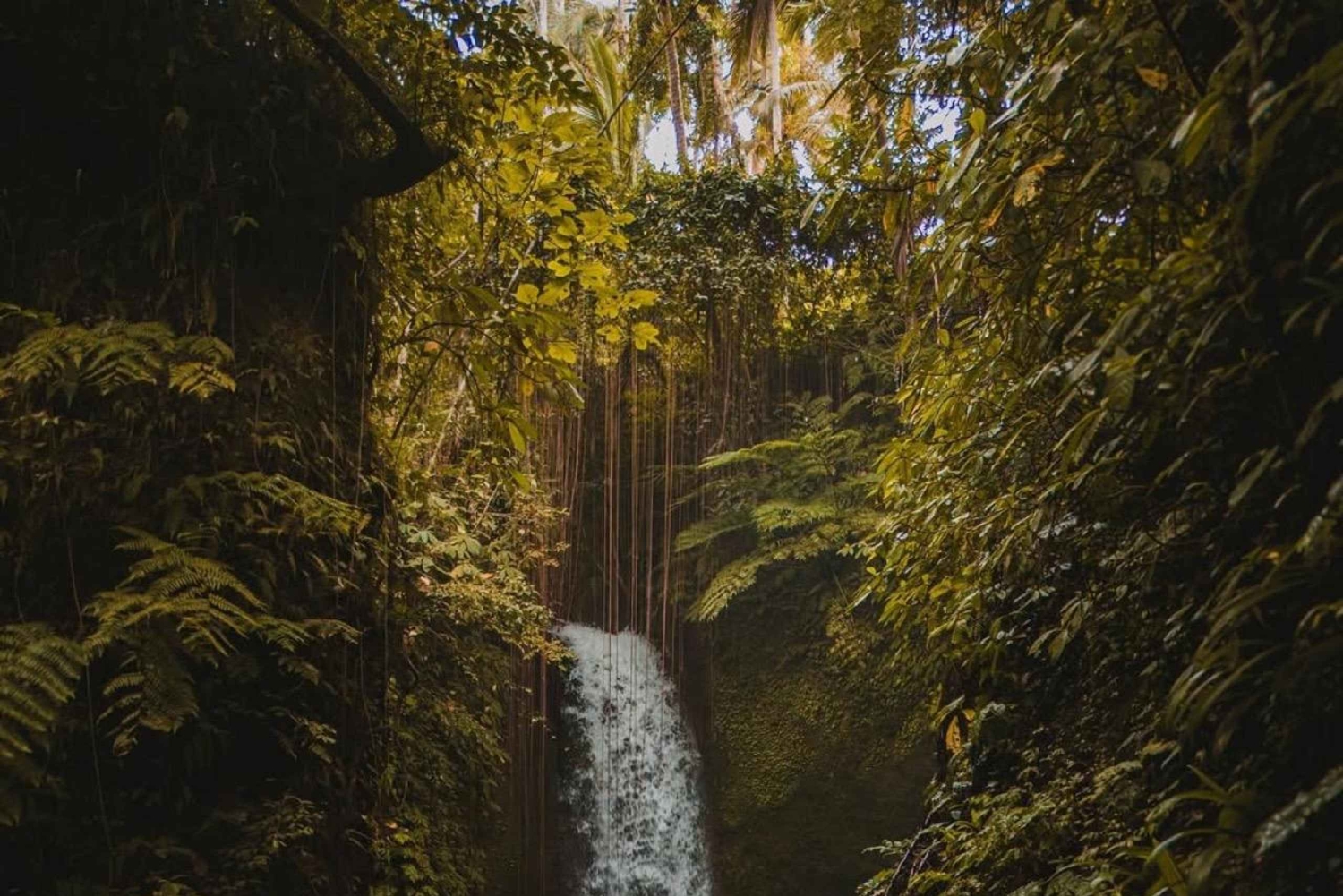 Ubud: Telaga Waja Temple, Waterfalls- Mancingan Rice Terrace