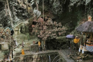 Ubud: Telaga Waja Temple, Waterfalls- Mancingan Rice Terrace