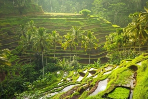 Ubud: Telaga Waja Temple, Waterfalls- Mancingan Rice Terrace