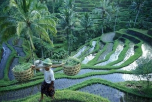 Ubud: Telaga Waja Temple, Waterfalls- Mancingan Rice Terrace