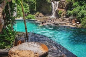 Ubud: Temple, Jungle Swing, Spa, and Day Club Tour