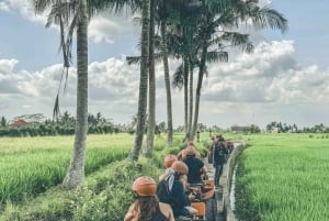 Ubud Temple Run: Jungle ATV Under Waterfall & Tunnel in Bali