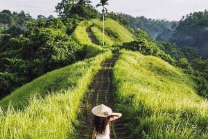 Ubud: Tempel, vattenfall, risterrasser, Ubud-marknad och palats