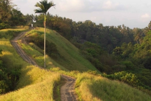 Ubud: Tempel, vattenfall, risterrasser, Ubud-marknad och palats