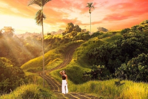 Ubud: Tempel, vattenfall, risterrasser, Ubud-marknad och palats