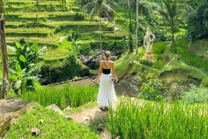 Ubud: Tempel, vattenfall, risterrasser, Ubud-marknad och palats