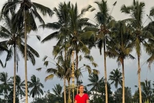 Ubud: Tempel, vattenfall, risterrasser, Ubud-marknad och palats