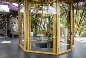 Ubud: Jungle Club Day Pass with Optional Upgrades