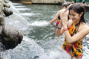 Убуд: Тирта Эмпул, рисовая терраса, водопад и индивидуальная экскурсия