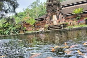 Убуд: Тирта Эмпул, рисовая терраса, водопад и индивидуальная экскурсия