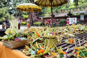 Убуд: Тирта Эмпул, рисовая терраса, водопад и индивидуальная экскурсия