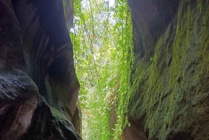 Убуд: Тирта Эмпул, рисовая терраса, водопад и индивидуальная экскурсия