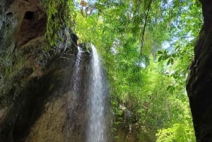 Убуд: Тирта Эмпул, рисовая терраса, водопад и индивидуальная экскурсия