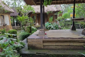 Убуд: Тирта Эмпул, рисовая терраса, водопад и индивидуальная экскурсия