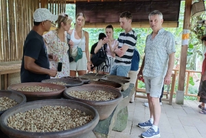 Убуд: Тирта Эмпул, рисовая терраса, водопад и индивидуальная экскурсия