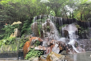 Убуд: Тирта Эмпул, рисовая терраса, водопад и индивидуальная экскурсия