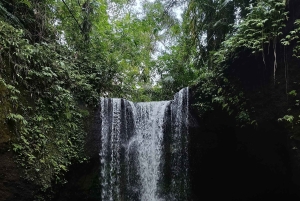 Убуд: Тирта Эмпул, рисовая терраса, водопад и индивидуальная экскурсия