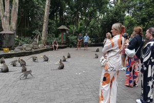 Убуд: Тирта Эмпул, рисовая терраса, водопад и индивидуальная экскурсия