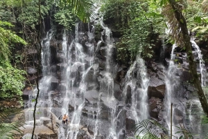 Убуд: Тирта Эмпул, рисовая терраса, водопад и индивидуальная экскурсия