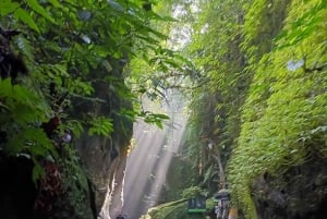 Убуд: Тирта Эмпул, рисовая терраса, водопад и индивидуальная экскурсия