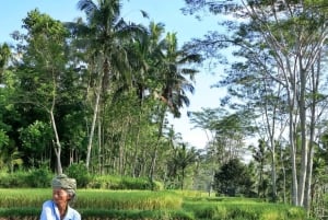 Убуд: Тирта Эмпул, рисовая терраса, водопад и индивидуальная экскурсия