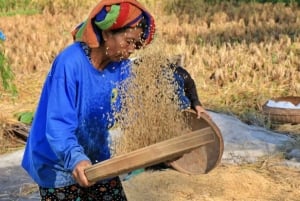 Убуд: Тирта Эмпул, рисовая терраса, водопад и индивидуальная экскурсия