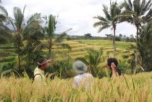Убуд: Тирта Эмпул, рисовая терраса, водопад и индивидуальная экскурсия
