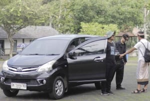 Убуд: Тирта Эмпул, рисовая терраса, водопад и индивидуальная экскурсия