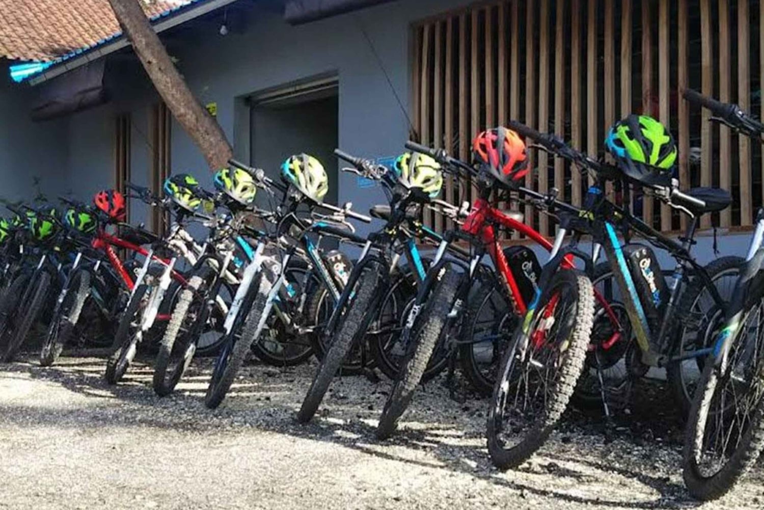 Ubud: Tirta Empul-templet e-cykeltur med lunch