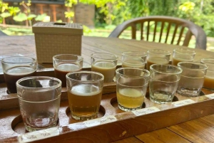 Ubud: Tirta Empulin temppeli sähköpyörällä, lounas