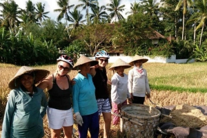 Ubud: Tirta Empulin temppeli sähköpyörällä, lounas