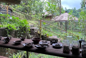 Ubud: Tirta Empulin temppeli sähköpyörällä, lounas