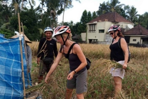 Ubud: Tirta Empulin temppeli sähköpyörällä, lounas