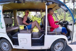 Ubud: Tirta Empulin temppeli sähköpyörällä, lounas