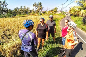Ubud: Tirta Empulin temppeli sähköpyörällä, lounas