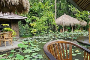 Ubud: Tirta Empulin temppeli sähköpyörällä, lounas