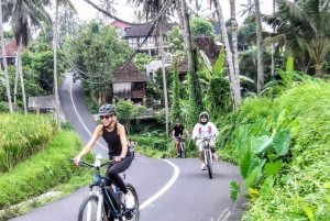 Ubud: Tirta Empulin temppeli sähköpyörällä, lounas