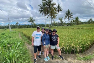 Ubud: Tirta Empulin temppeli sähköpyörällä, lounas