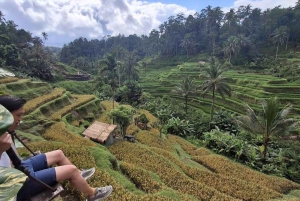 Ubud: Tirta Empulin temppeli sähköpyörällä, lounas