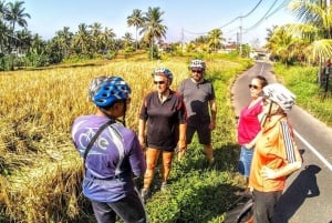 Ubud: Tirta Empul-templet e-cykeltur med lunch