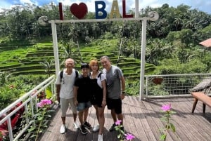 Ubud: Tirta Empul-templet e-cykeltur med lunch