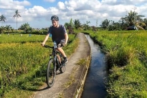 Ubud: Tirta Empul-templet e-cykeltur med lunch