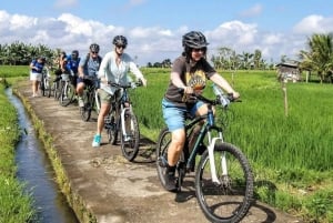 Ubud: Tirta Empul-templet e-cykeltur med lunch