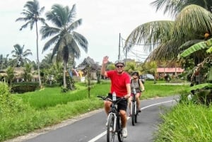 Ubud: Tirta Empul-templet e-cykeltur med lunch