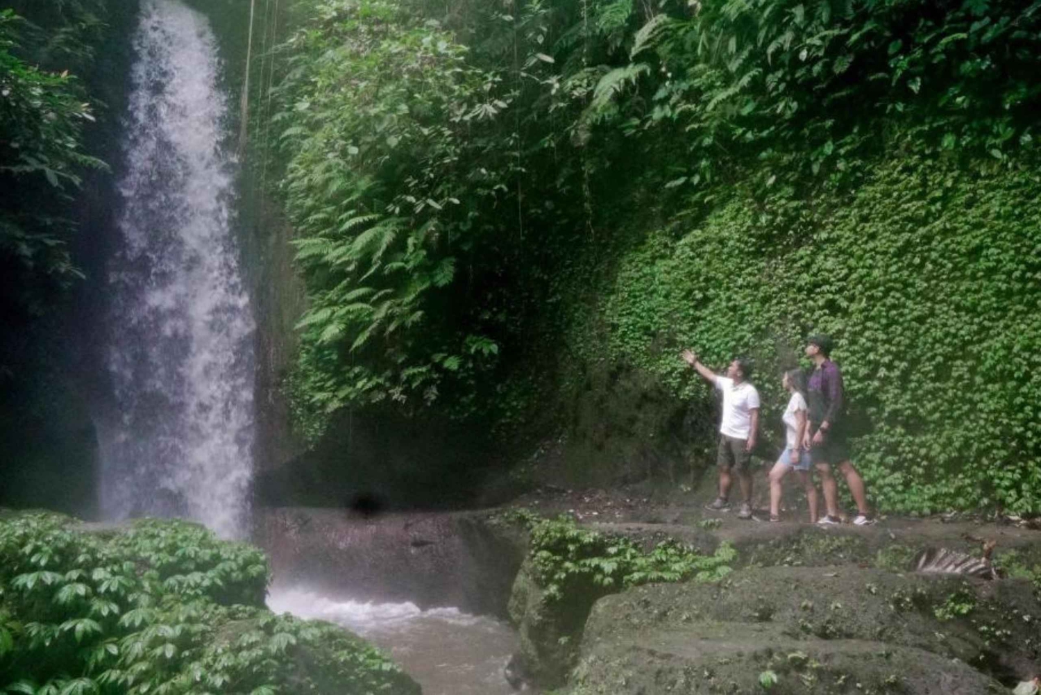 Ubud: Tirta Empul-templet, risterrasser och vattenfall
