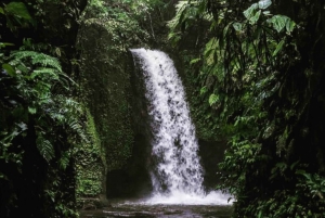 Ubud: Tirta Empul Temple, Rice Terraces, and Waterfall Tour